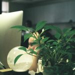 Pollution Prevention Measures: 7 Proven Ways to Avoid Costly Environmental Insurance Gaps